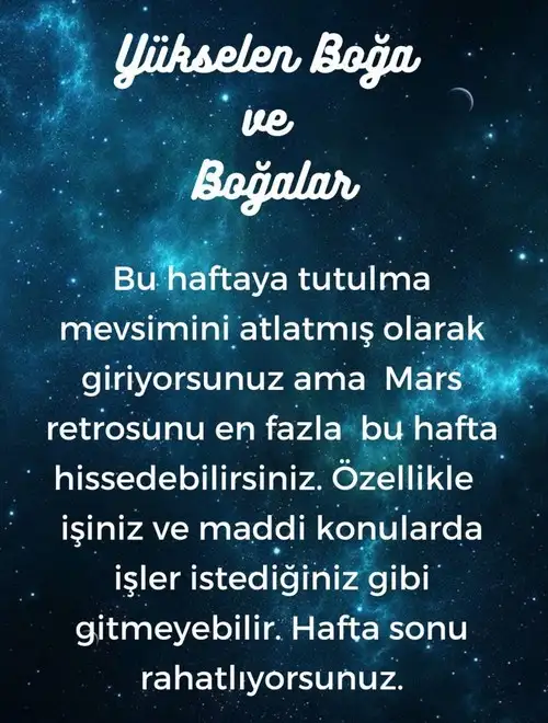 h7 (3).webp