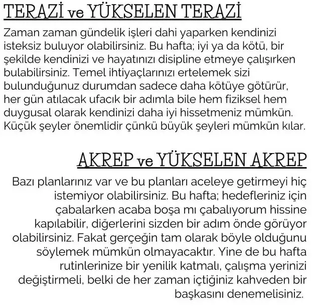 h7 (5).webp