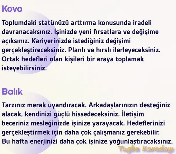 h7 (6).webp