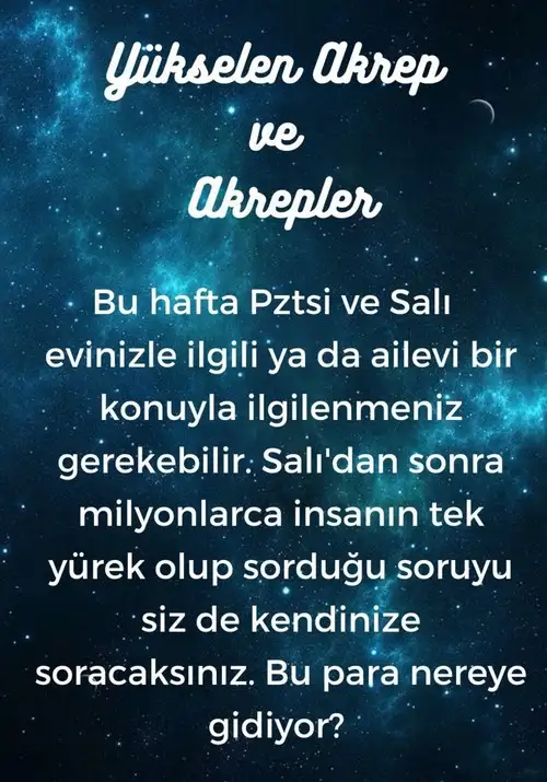 h7 (9).webp