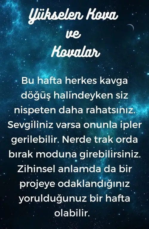 h9 (12).webp