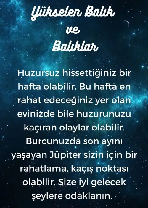 h9 (13).webp