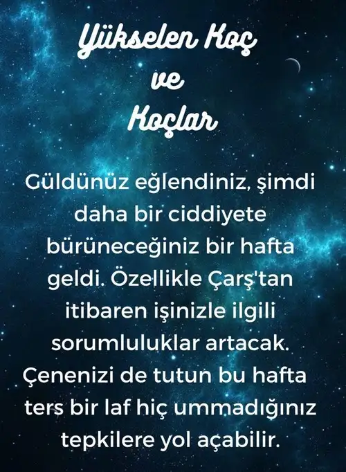 h9 (2).webp
