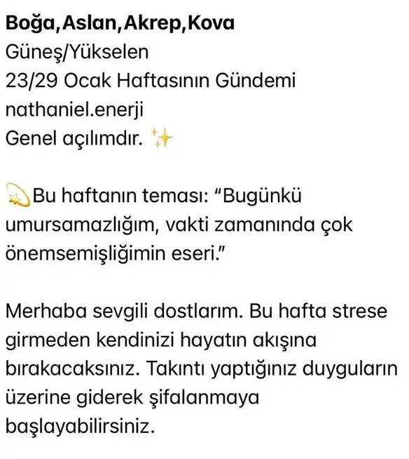 h9 (2).webp