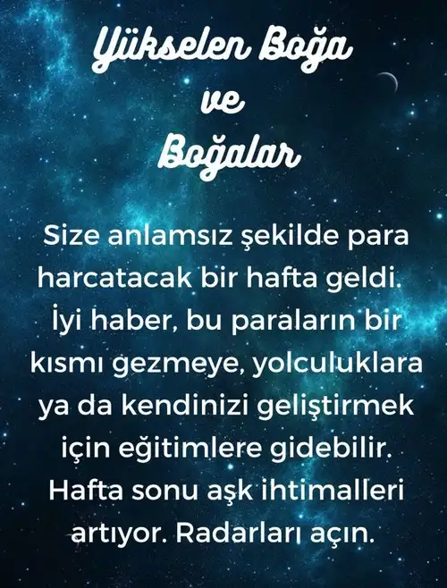 h9 (3).webp
