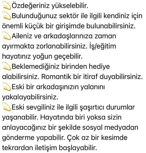 h9 (4).webp