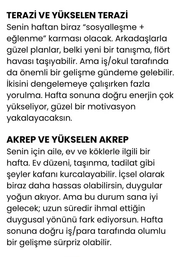h9 (4).webp