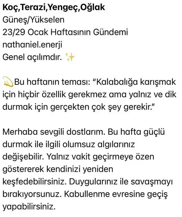 h9 (8).webp