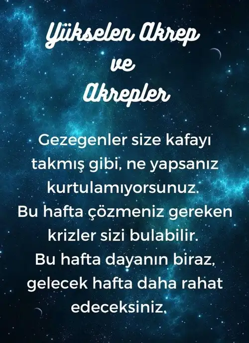 h9 (9).webp