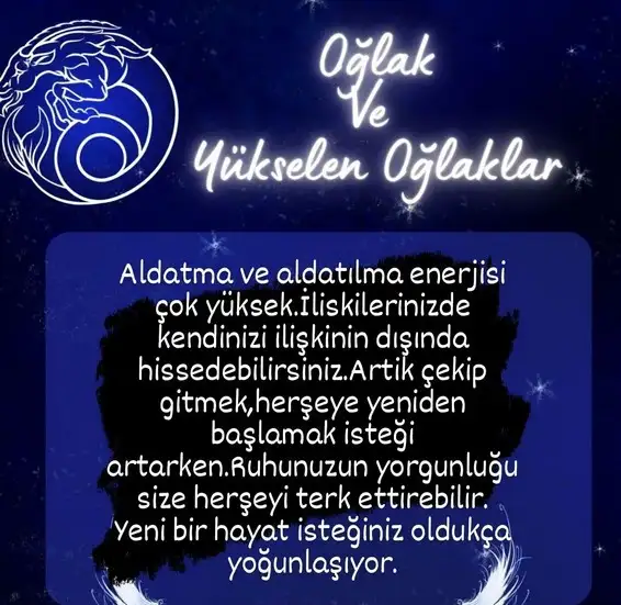 h90 (11).webp