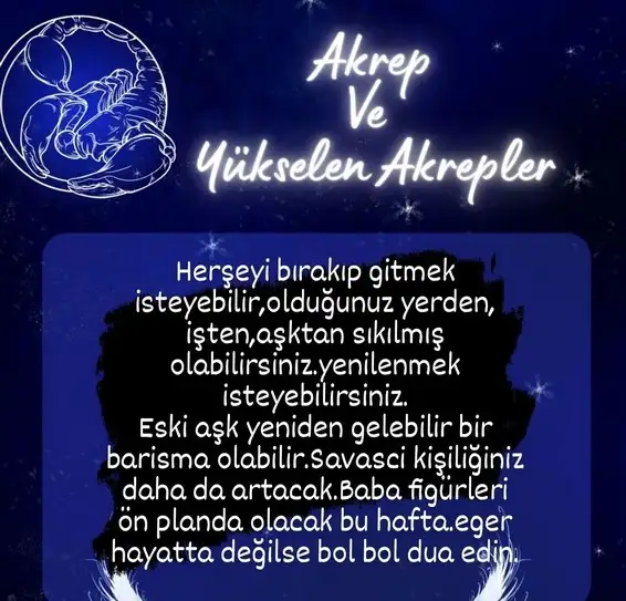 h90 (9).webp