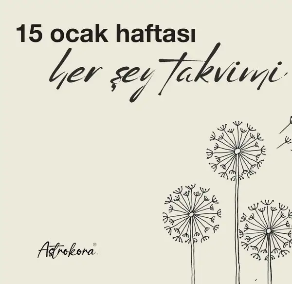 haf1 (1).webp