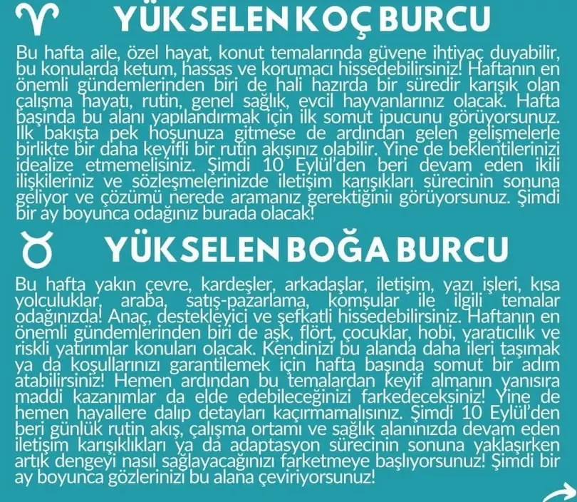 haf1 (2).webp