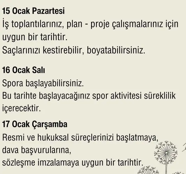 haf1 (2).webp