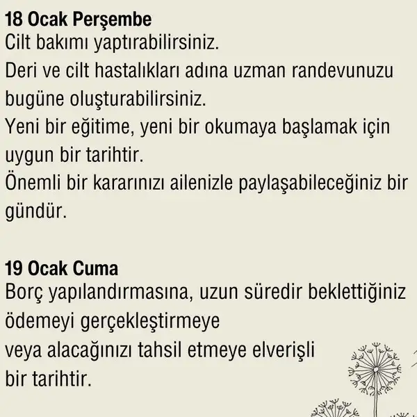 haf1 (3).webp