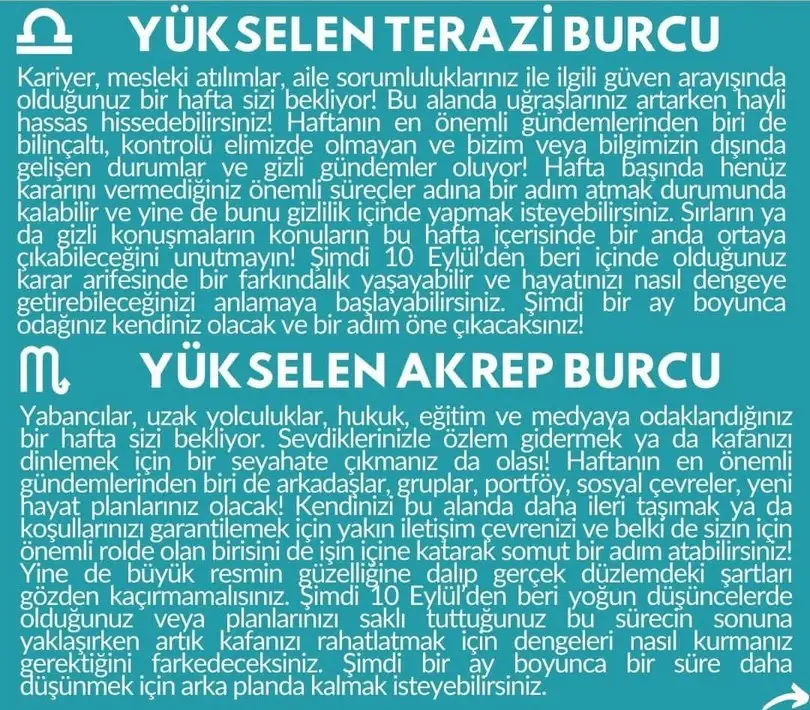 haf1 (5).webp