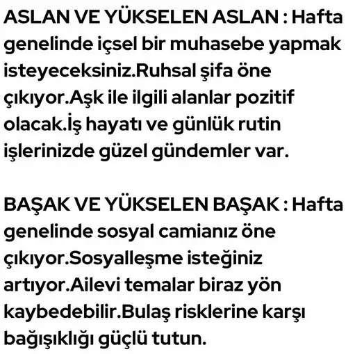 haf1 (5).webp