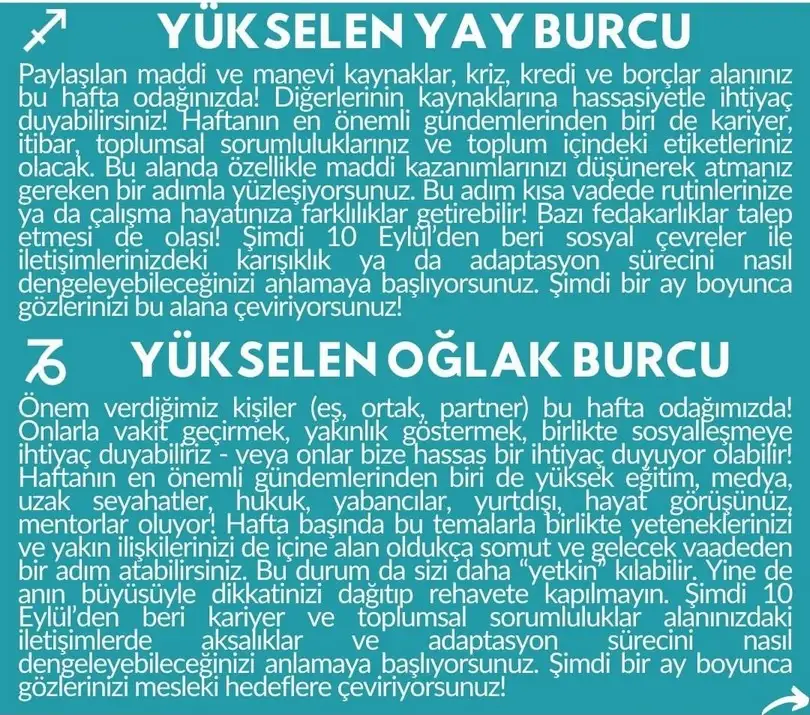haf1 (6).webp