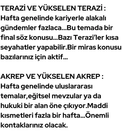 haf1 (6).webp