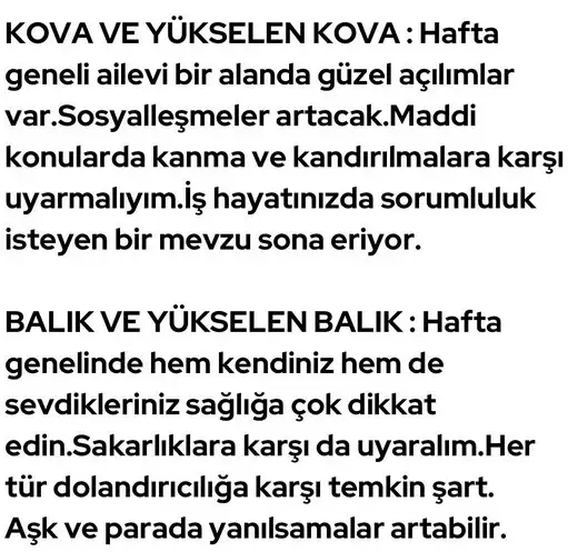 haf1 (8).webp