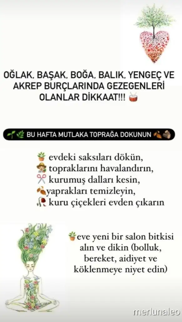 haf1.webp