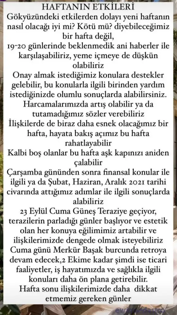 haf10.webp