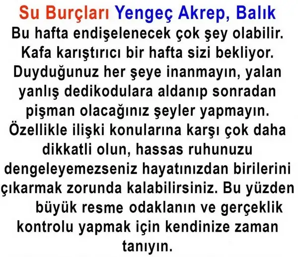 haf11 (4).webp