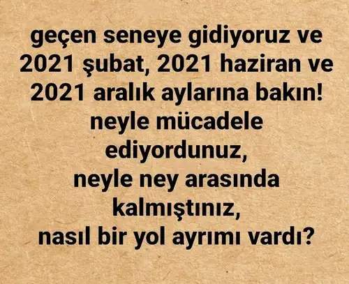 haf12 (3).webp