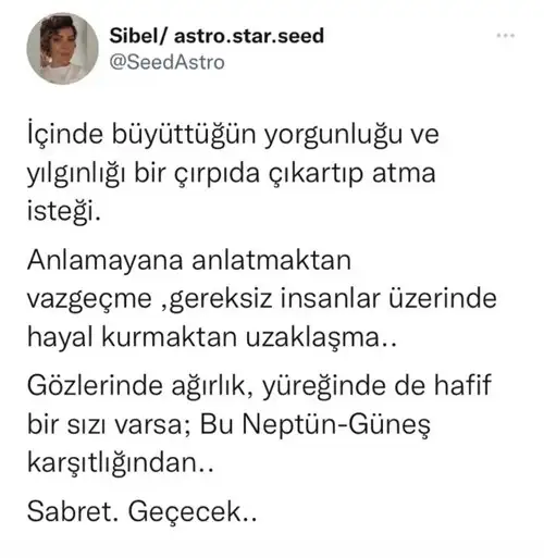 haf2 (1).webp