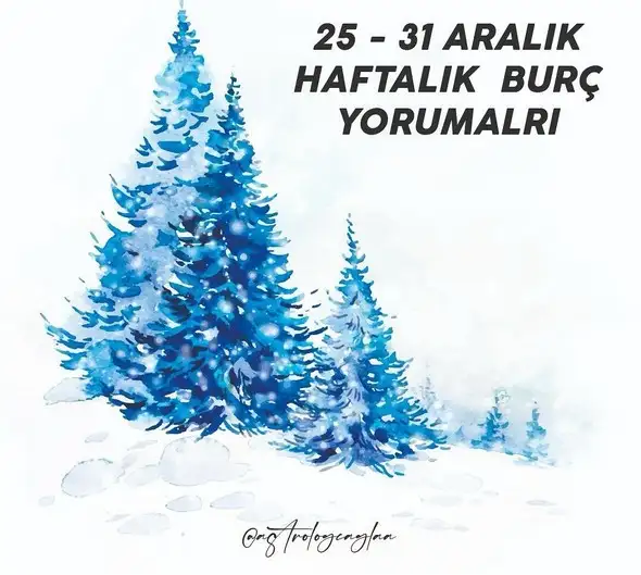 haf2 (1).webp