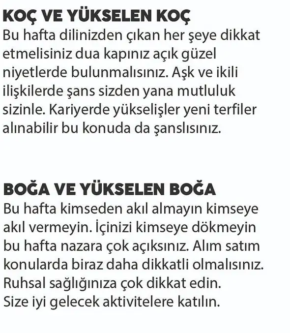 haf2 (2).webp