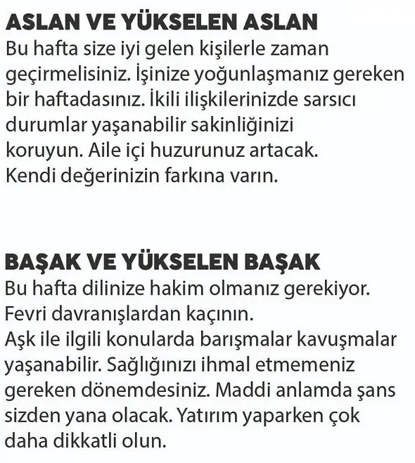 haf2 (4).webp