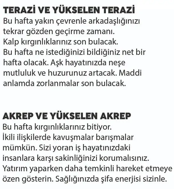 haf2 (5).webp