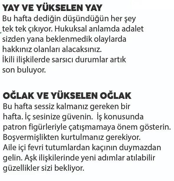 haf2 (6).webp