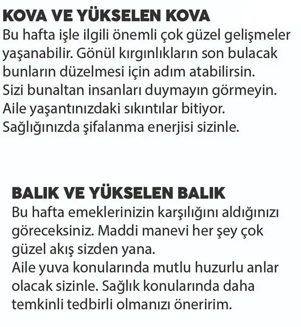 haf2 (7).webp