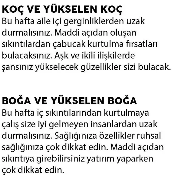 haf3 (2).webp