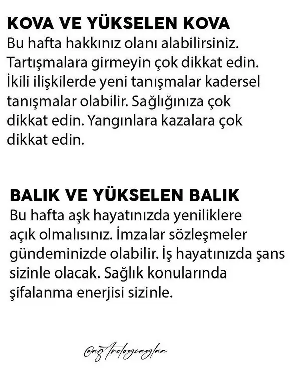 haf3 (7).webp