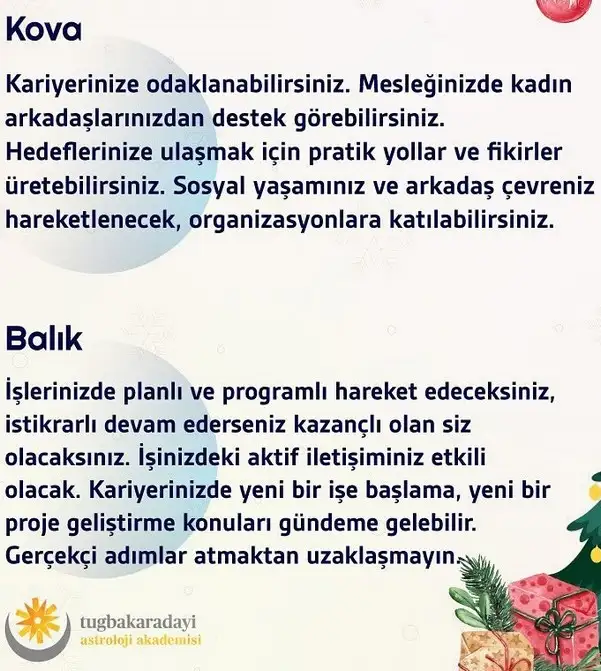 haf4 (6).webp