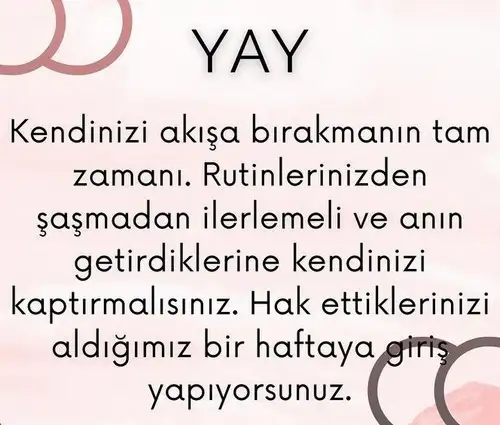haf6 (10).webp