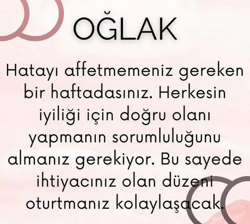 haf6 (11).webp