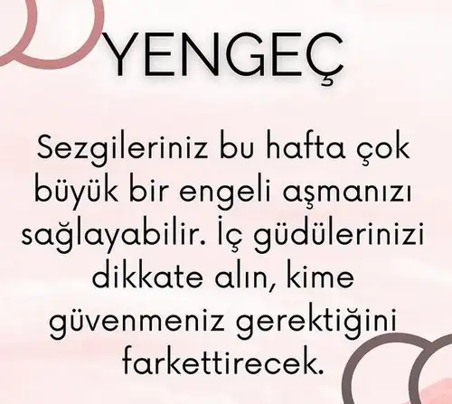 haf6 (4).webp
