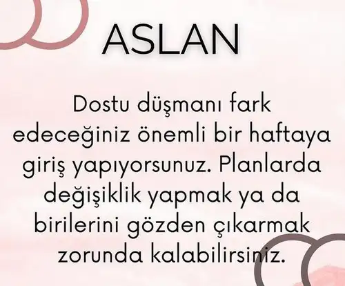 haf6 (5).webp