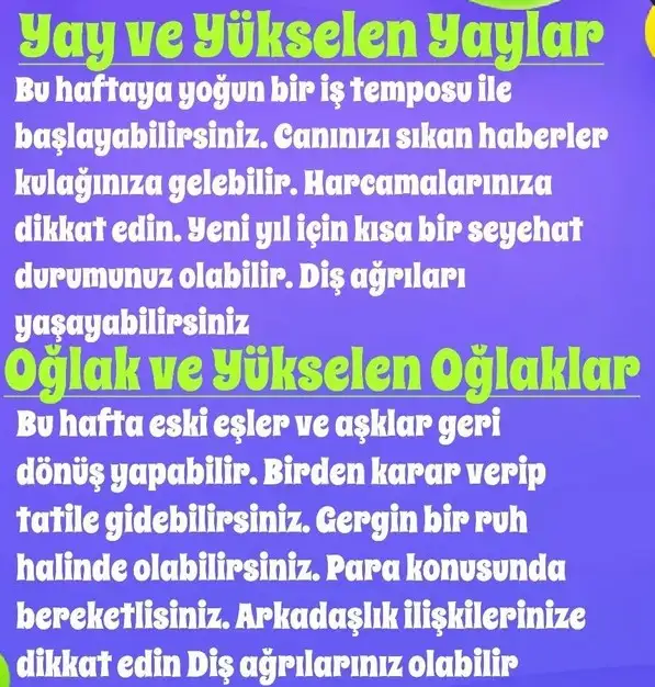 haf7 (6).webp