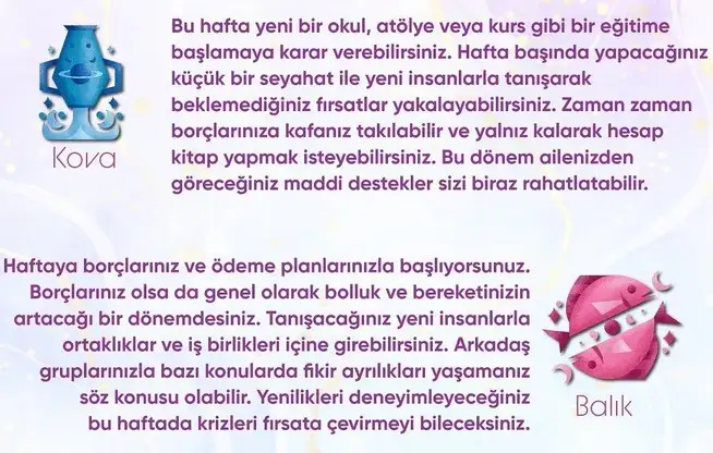haf7 (7).webp