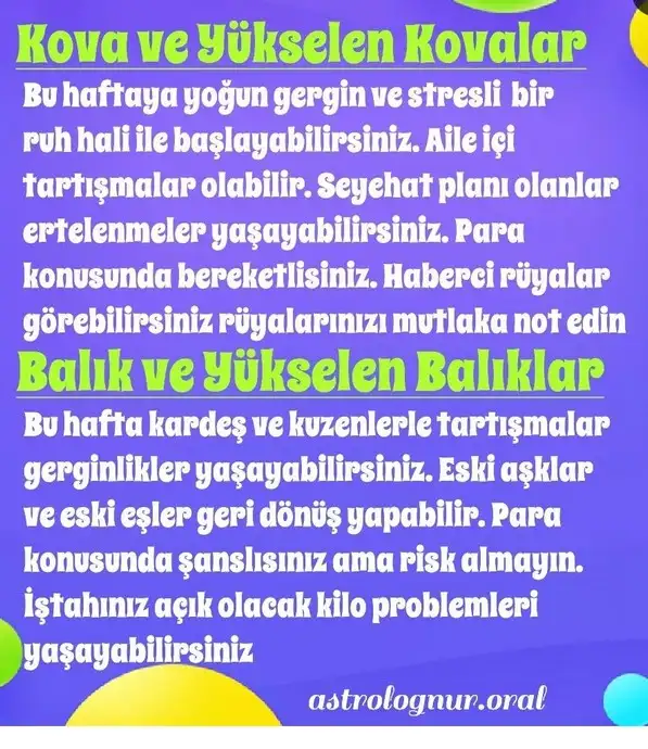 haf7 (8).webp