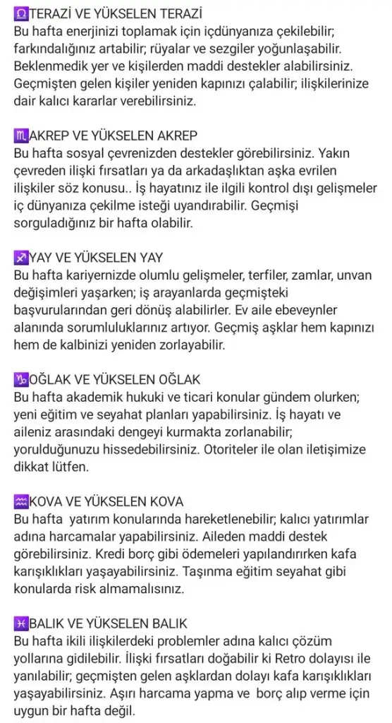 haf8 (4).webp