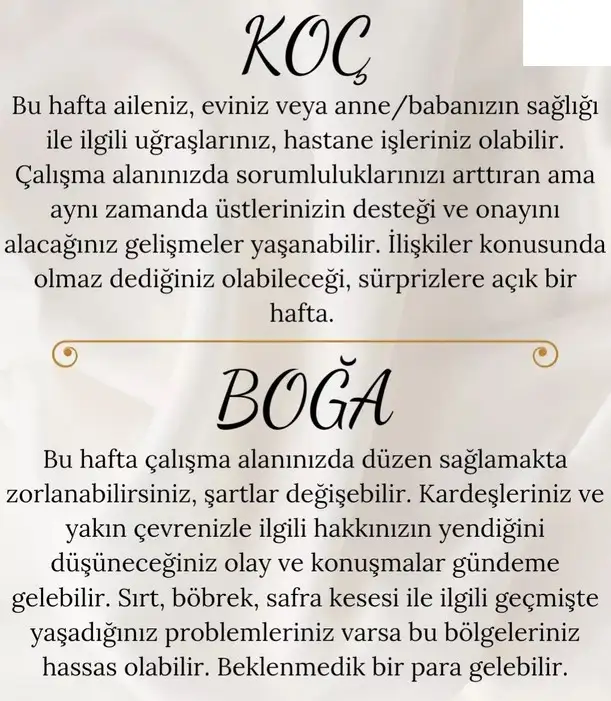 haf9 (2).webp