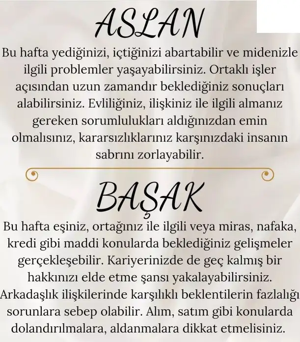 haf9 (4).webp