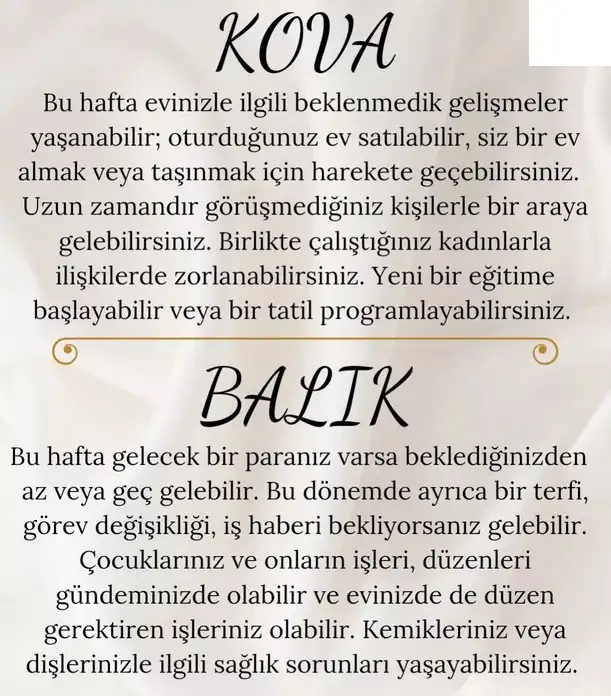 haf9 (7).webp
