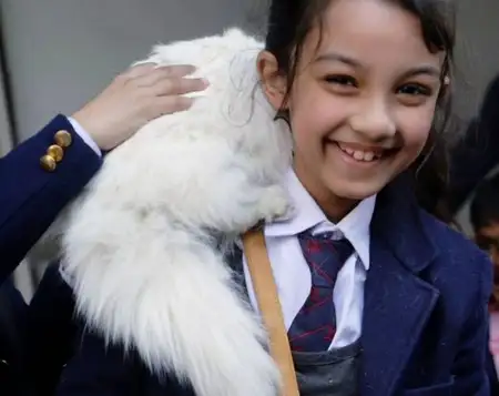 haft (11).webp